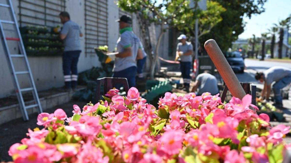 Kdz. Ereğli çiçek gibi oluyor