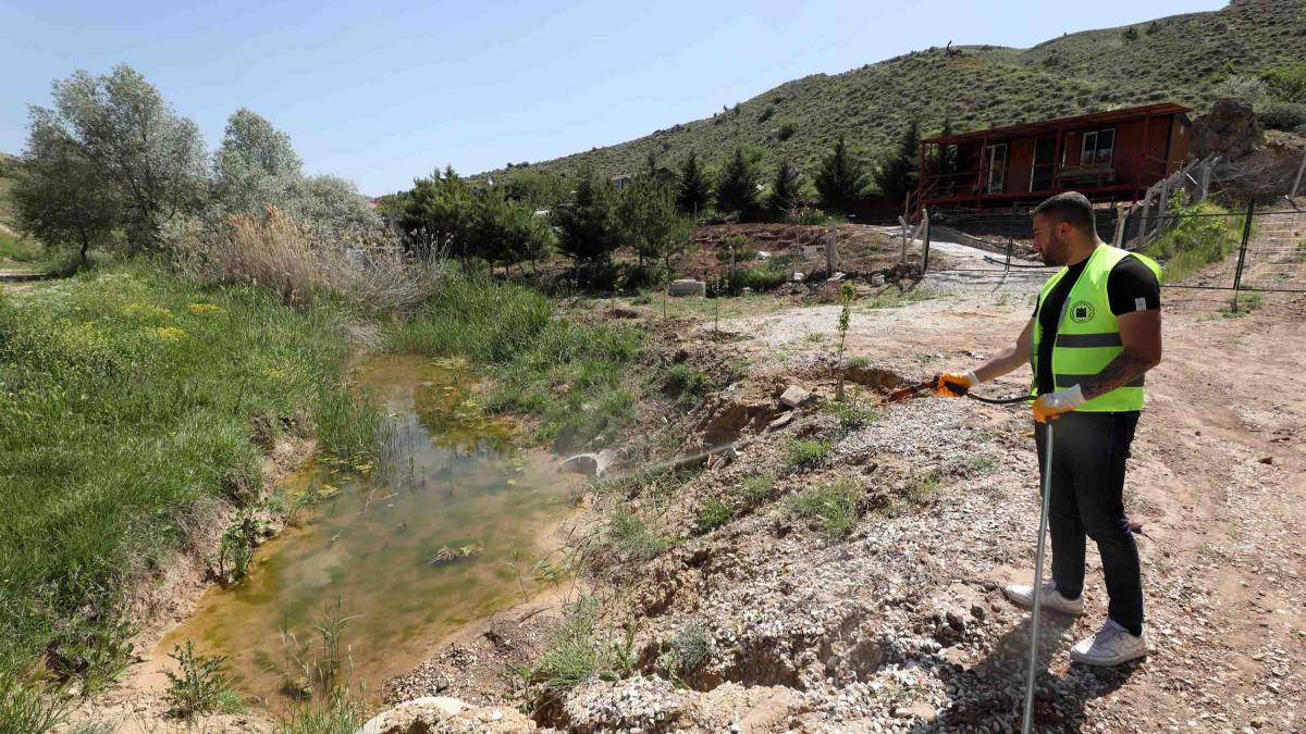 Yenimahalle’de larva mücadelesi başladı