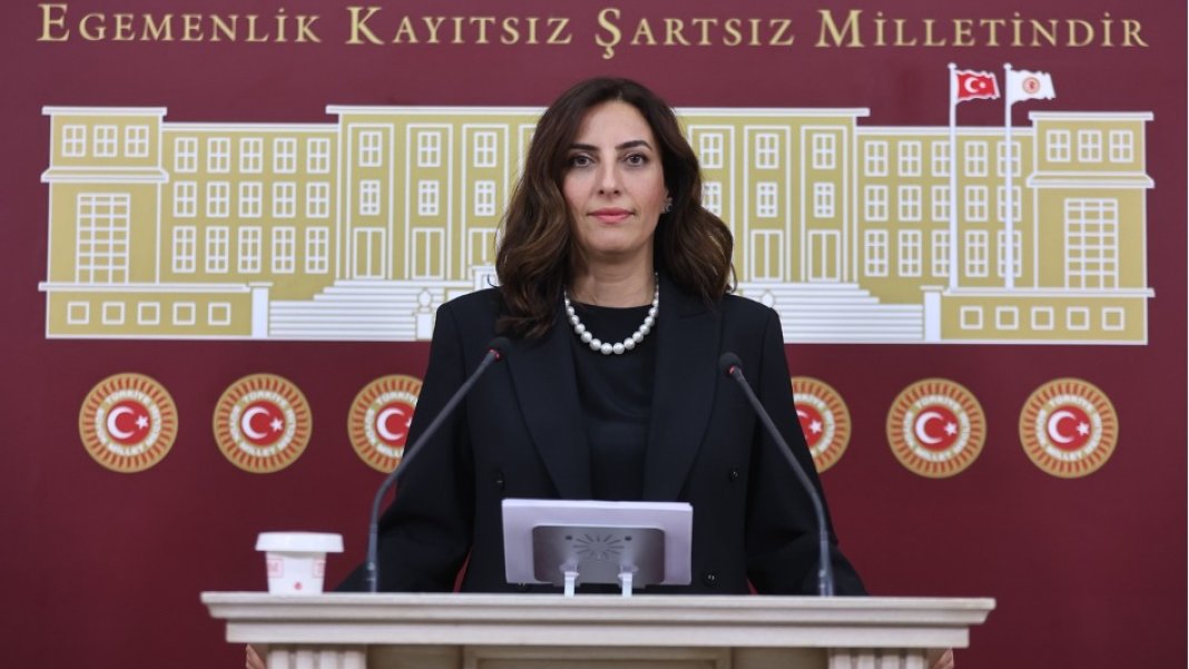 DEVA Partili Rızvanoğlu'ndan orman yangını eleştirisi: Yangınla mücadele geçici kadrolarla yürütülemez