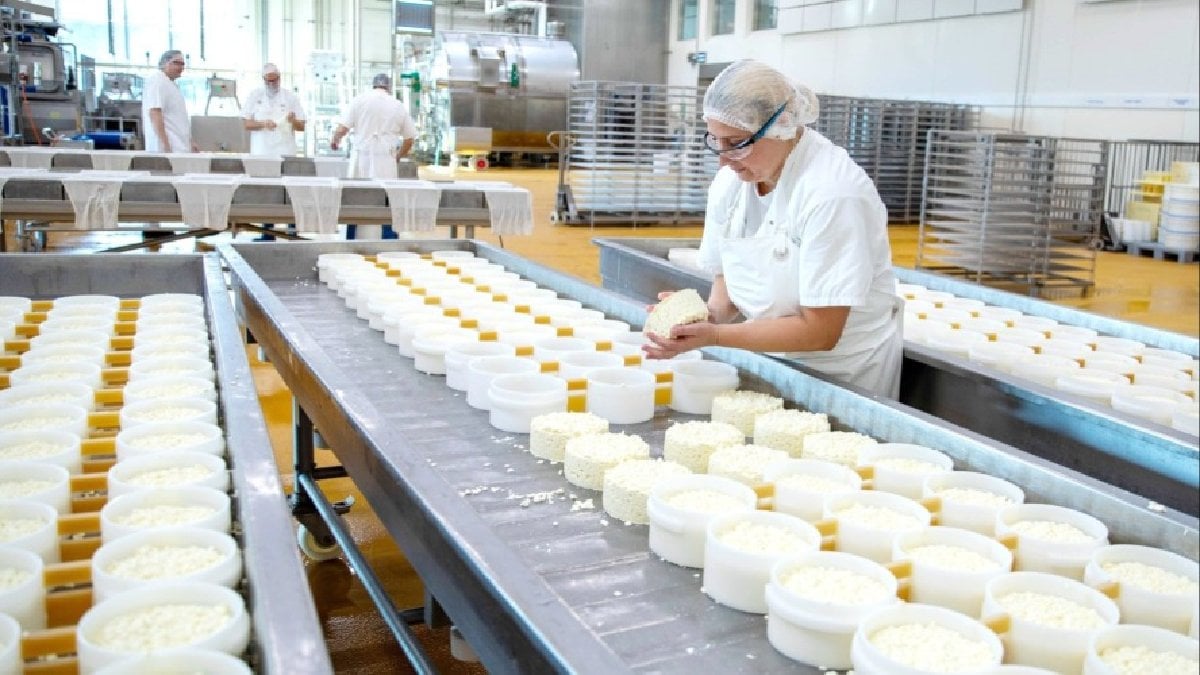 Şok! Popüler Peynir Markasında Toplatma Kararı: Sağlığınız Risk Altında mı?