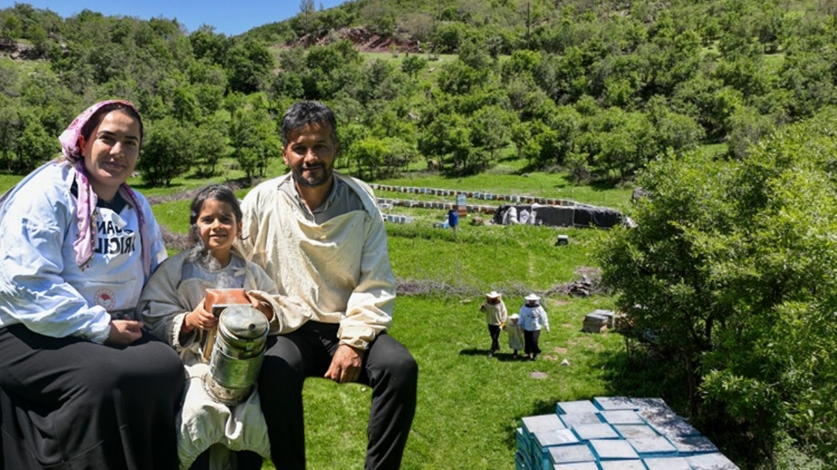 Devlet desteği ile başladılar, yüzlerce kovanla üretimi artırdılar! Kent yaşamını geride bıraktılar: Yılda 2.5 ton üretim