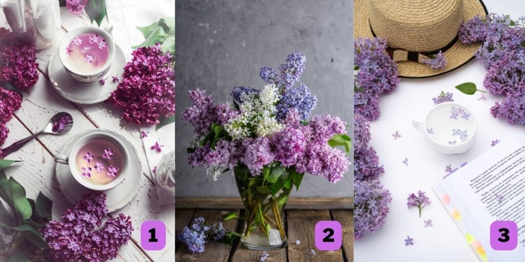 Kişilik testi: Zayıf yönleriniz neler? Bu 3 leylak fotoğrafından birini seçerek öğrenin!