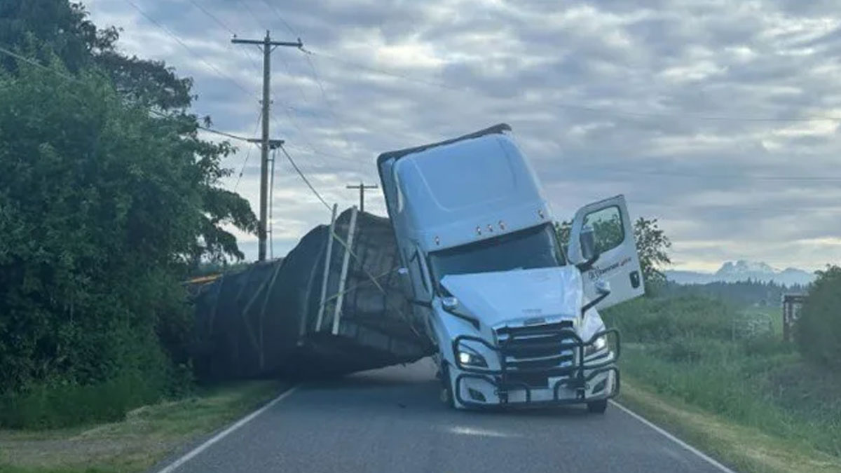 ABD'de kovan yüklü kamyon devrildi: Milyonlarca arı serbest kaldı