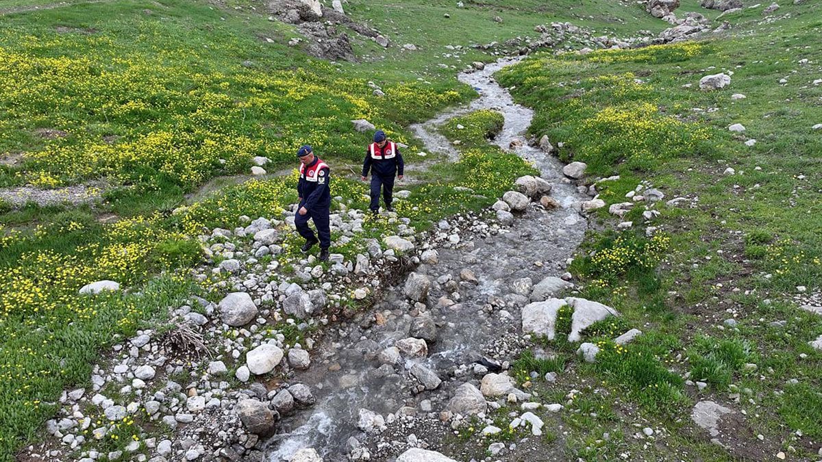 Onları korumak için dağlarda devriye geziyorlar! Fotokapan ve drone ile de denetim yapılıyor