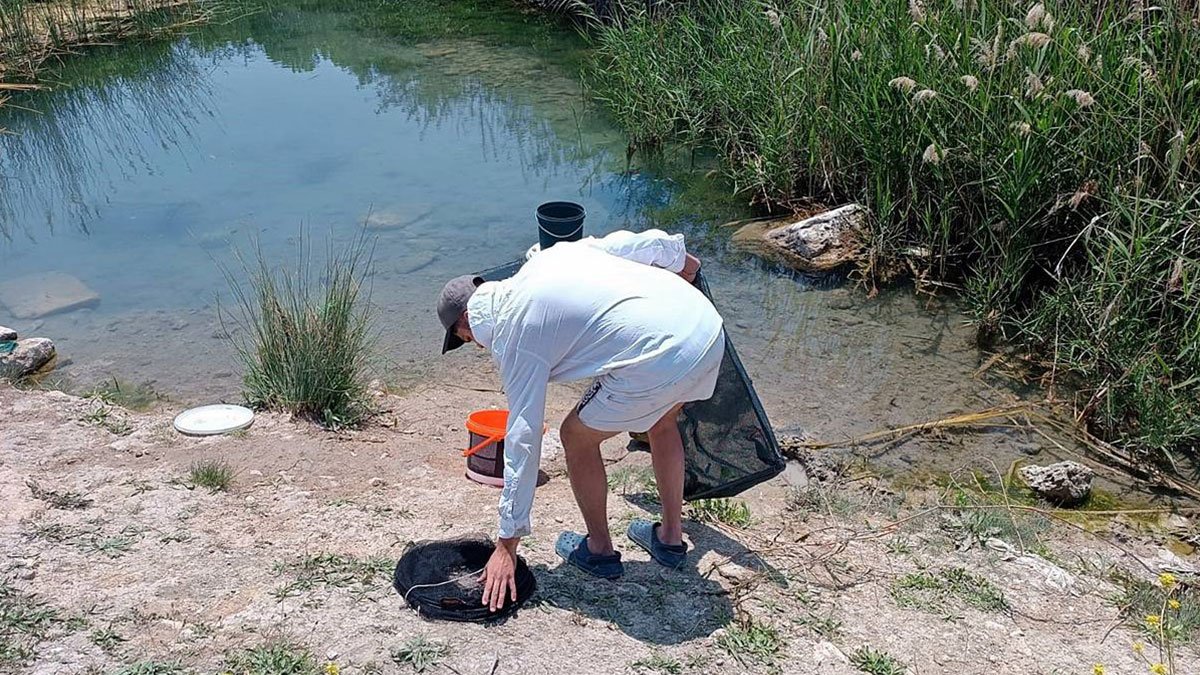Tarihi hamamda suçüstü yakalandılar! Vatandaşlar, şüphelileri jandarmaya teslim etti
