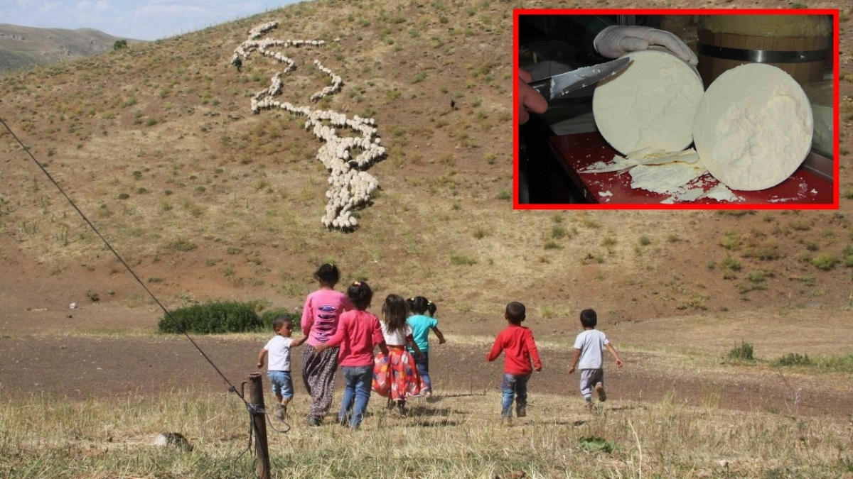 Lezzetti tescillendi, AB ülkelerinde koruma altına alındı! Erzincan tulum peyniri ülkenin gurur oldu