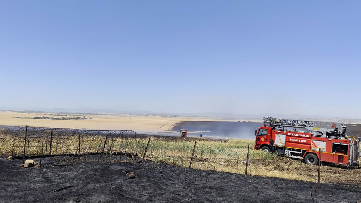 Diyarbakır'da korkutan yangın: 1000 dekar buğday ve arpa ekili alan zarar gördü