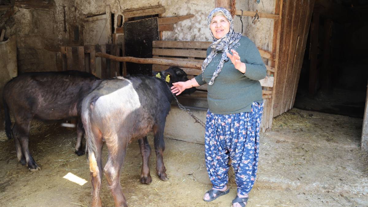 Büyükşehir destekledi, üretici kazandı