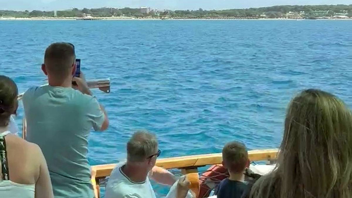 Denizden gelen sürpriz: Turistler gözlerine inanamadı! Hemen telefonlarına sarılıp o anları kaydettiler
