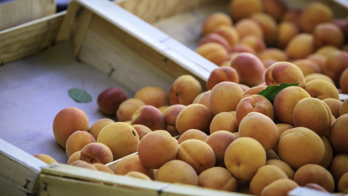 İTO açıkladı: Mayıs ayı zam şampiyonları belli oldu