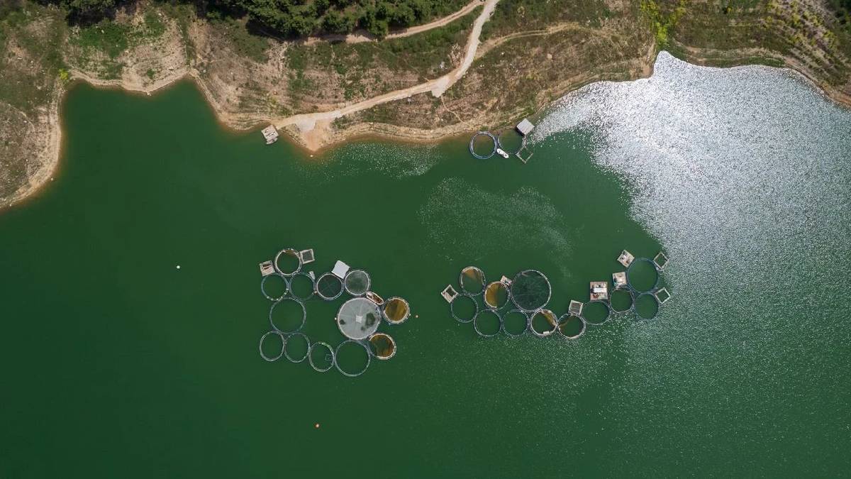 Batı Ege’den dünya mutfaklarına… Denizi yok başarısı çok: Karasal kentten dünya çapında ihracat büyüyor!