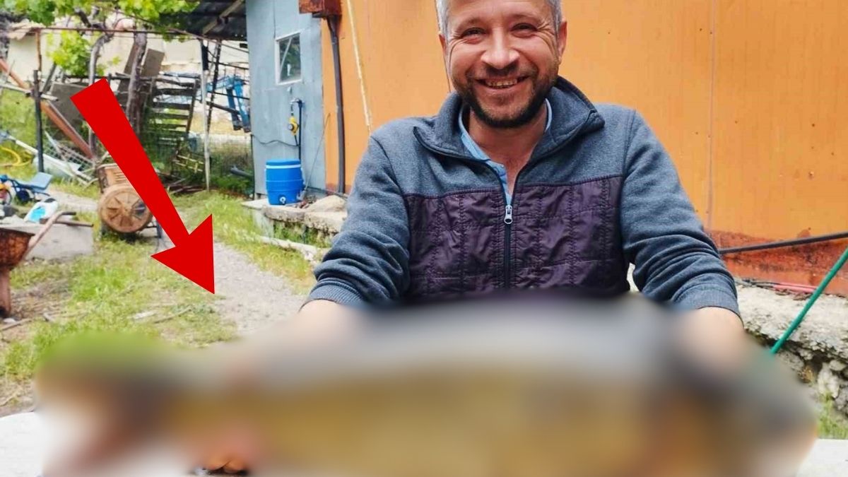 Tarlaya gittiği avladığı şey şaşırttı! 80 cm uzunluğunda tam 7 kg: Yarım saatini çıkarmak için harcadı!