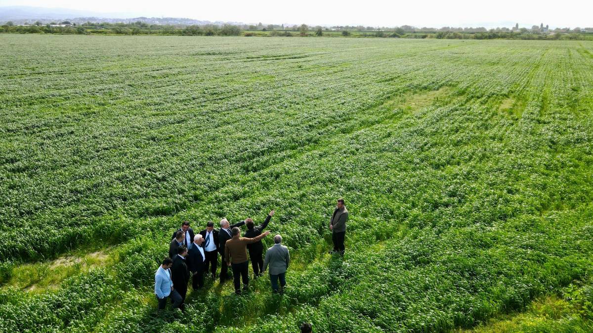 Büyükşehir'den üreticilere yüzde 100 hibe 'mazot' desteği müjdesi! Başvurular başladı...