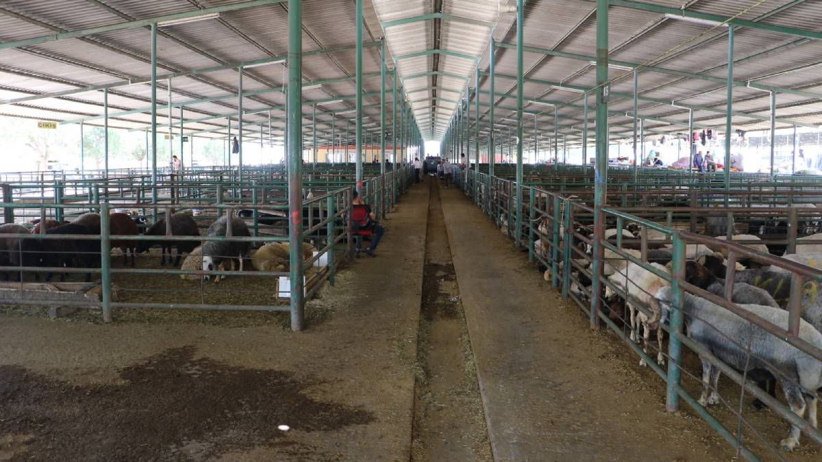 Büyükşehir Kurban Bayramı’na hazır