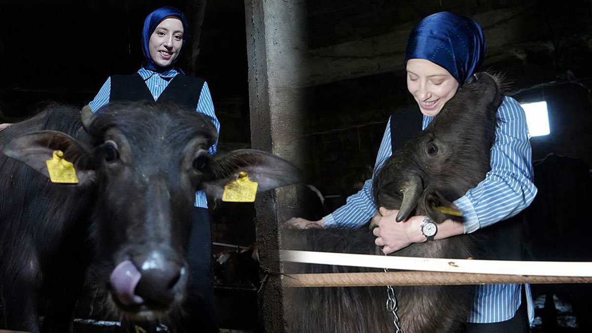 KPSS stresinden kurtuldu: 100 bin TL'ye kendi imparatorluğunu kurdu! 'Uzman Eller' projesiyle gelen çiftlik başarısı