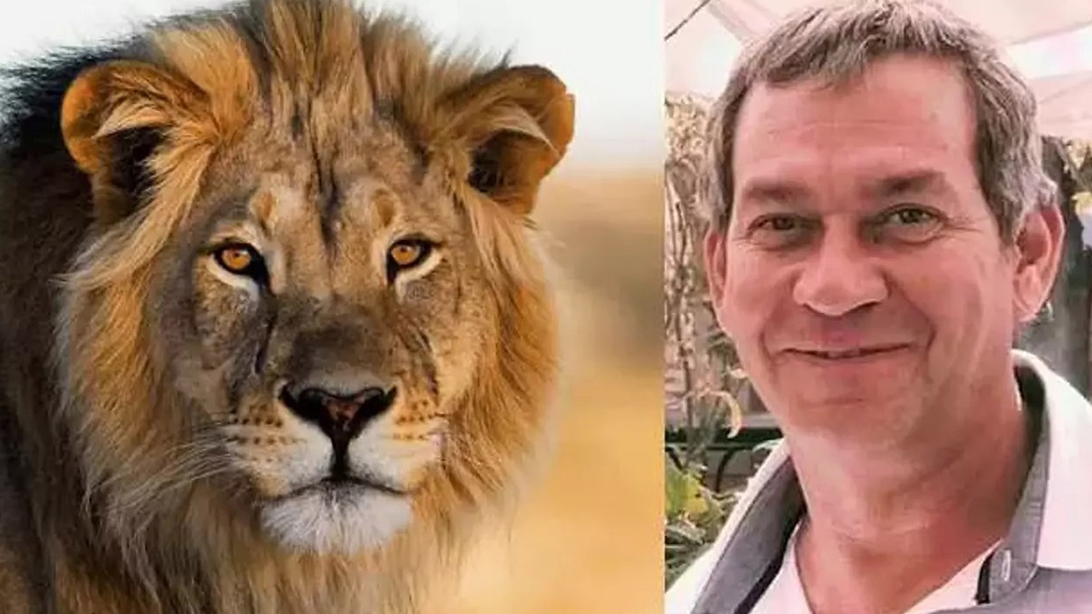 Alman safarici Namibya'da aslan saldırısında öldü