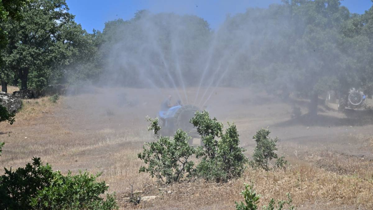 O ilçemizde çekirge istilası alarmı... Büyükşehir harekete geçti! Bölgeye ekipler sevk edildi