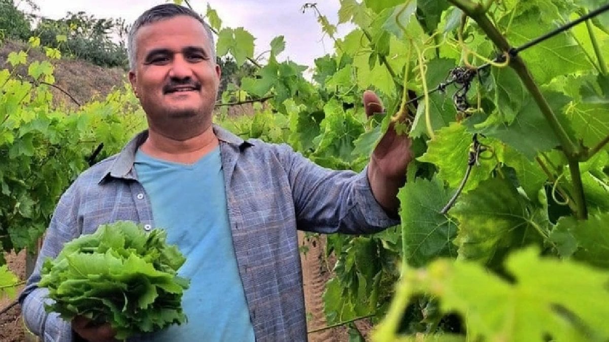 Manisa’da yetişiyor, 80 TL’den alıcı buluyor! Hem Avrupa’nın hem de Orta Doğu’nun gözdesi!
