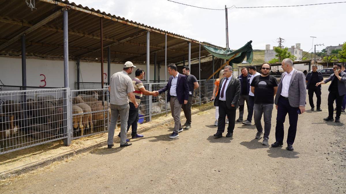 Çorlu Belediyesi Kurban Satış Pazarı, Kurban Bayramı'na hazır