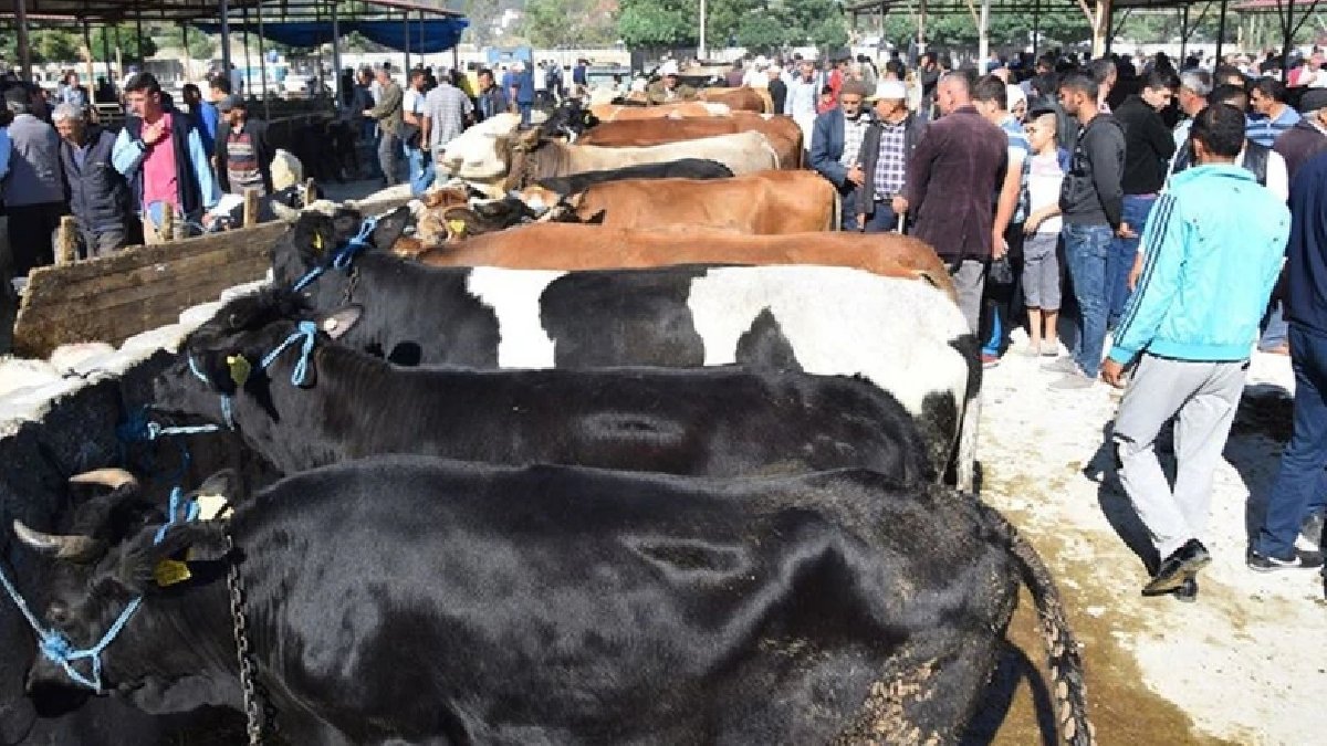 Kurban pazarı alarmda: Polis, sahte para ve dolandırıcılığa karşı uyardı