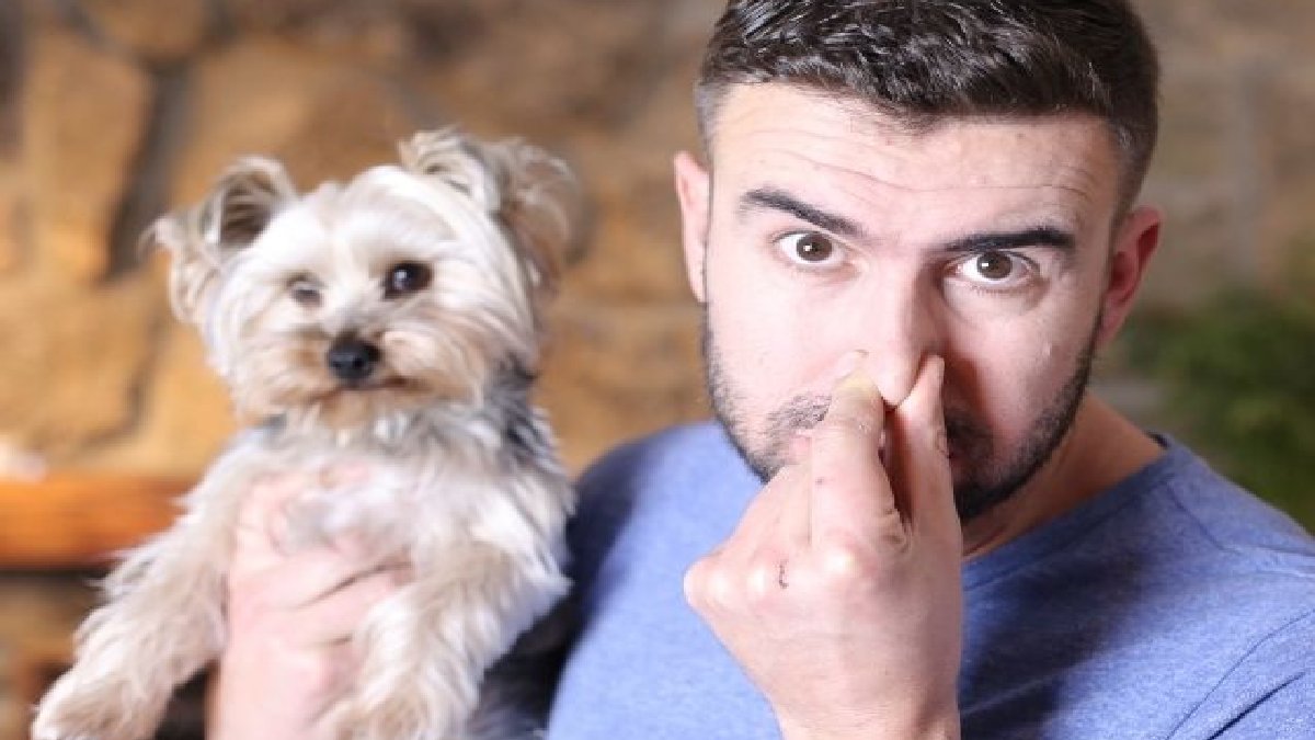 İlanı gören gözlerine inanamadı! ABD'li şirketten sadece koklayarak para kazanma imkanı! Saat başına 1000 TL ödeme