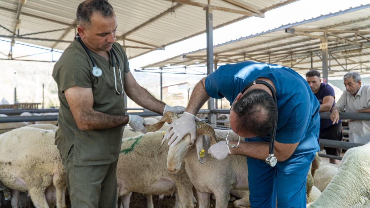 Karşıyaka, Kurban Bayramı’na hazır