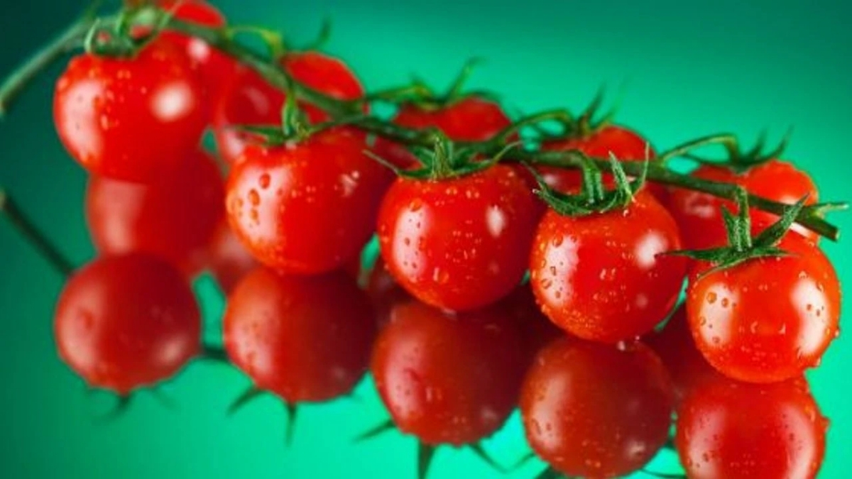 Herkesin evinde bulunuyordu, uzmanlar uyardı! Domatesin gizli zararları şok etkisi yarattı