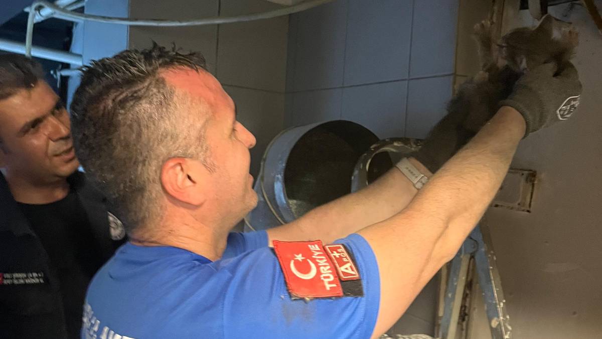 Havalandırma boşluğuna sıkışan yavru kediyi Çorlu AKE kurtardı
