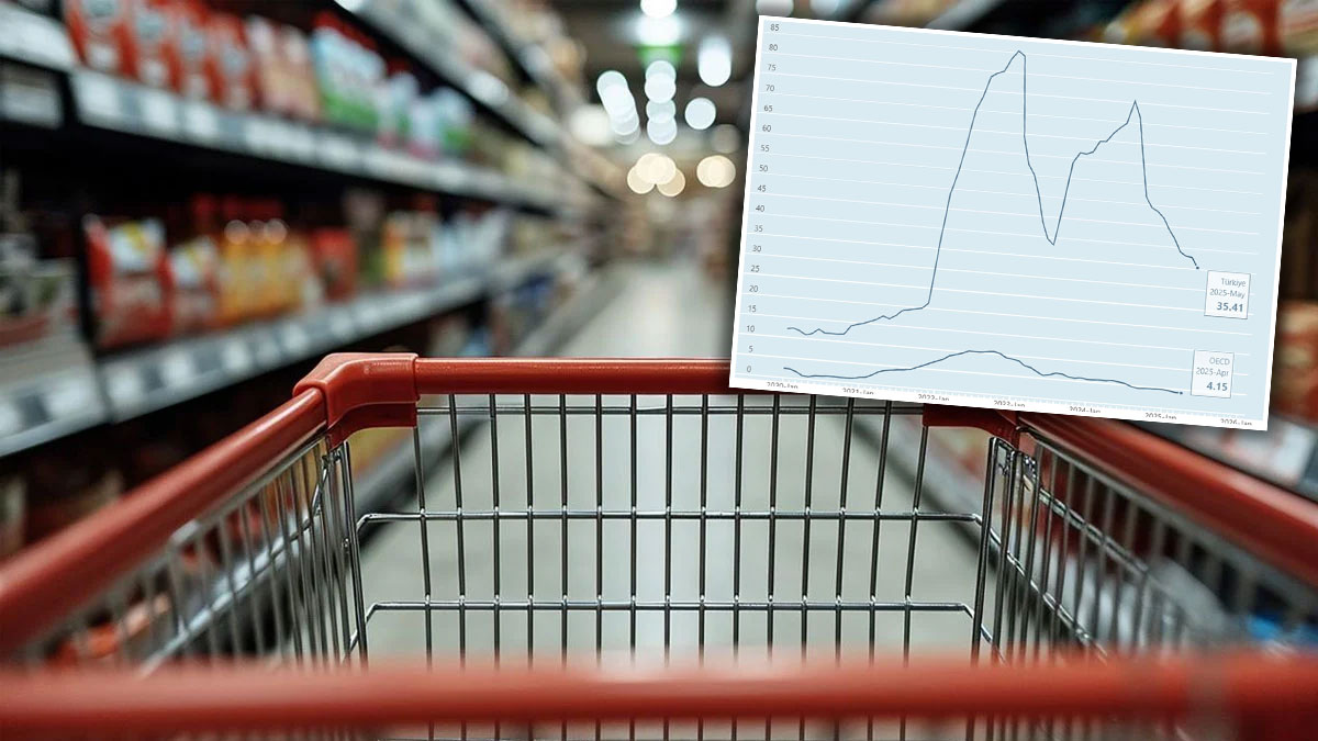 OECD'den enflasyon raporu: 5 yılda fiyatlar altı kat arttı