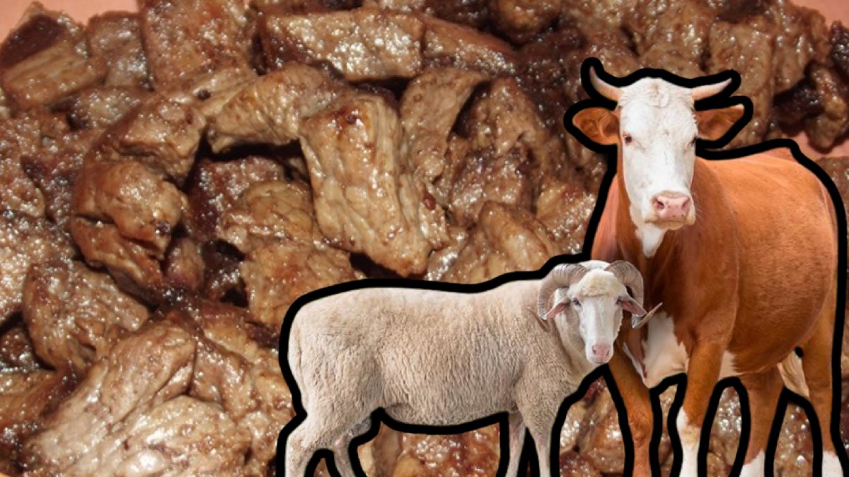 Uzmanlardan bayram uyarısı! Yeni kesilen ete, mangala dikkat: Sağlığınızdan olmamak için bunlara dikkat edin