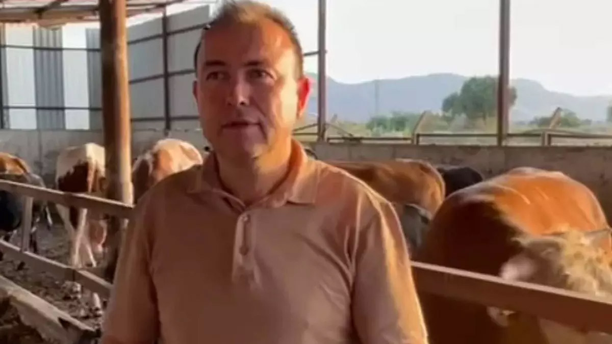 Kurbanlık dananın saldırısına uğrayan iş insanı hayatını kaybetti