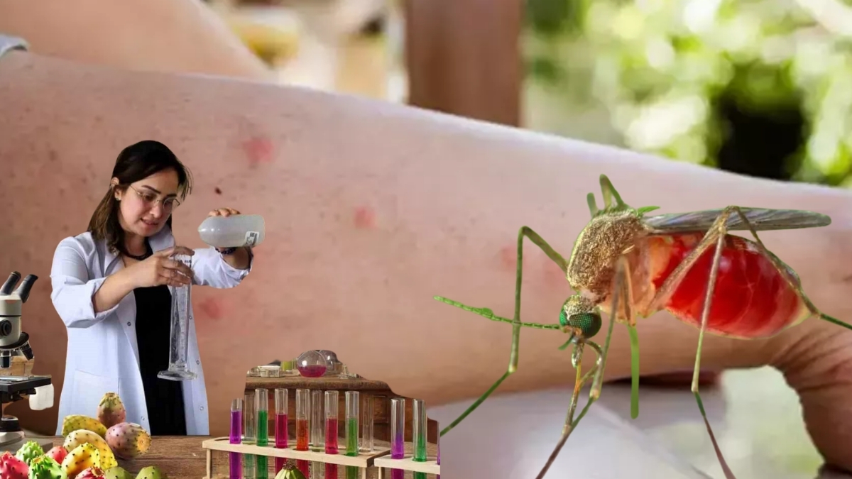 Yaz geceleri kabus olmaktan çıkıyor, sivrisinekler tarihe karışıyor! Aydınlı bilim ekibinden haşere devrimi