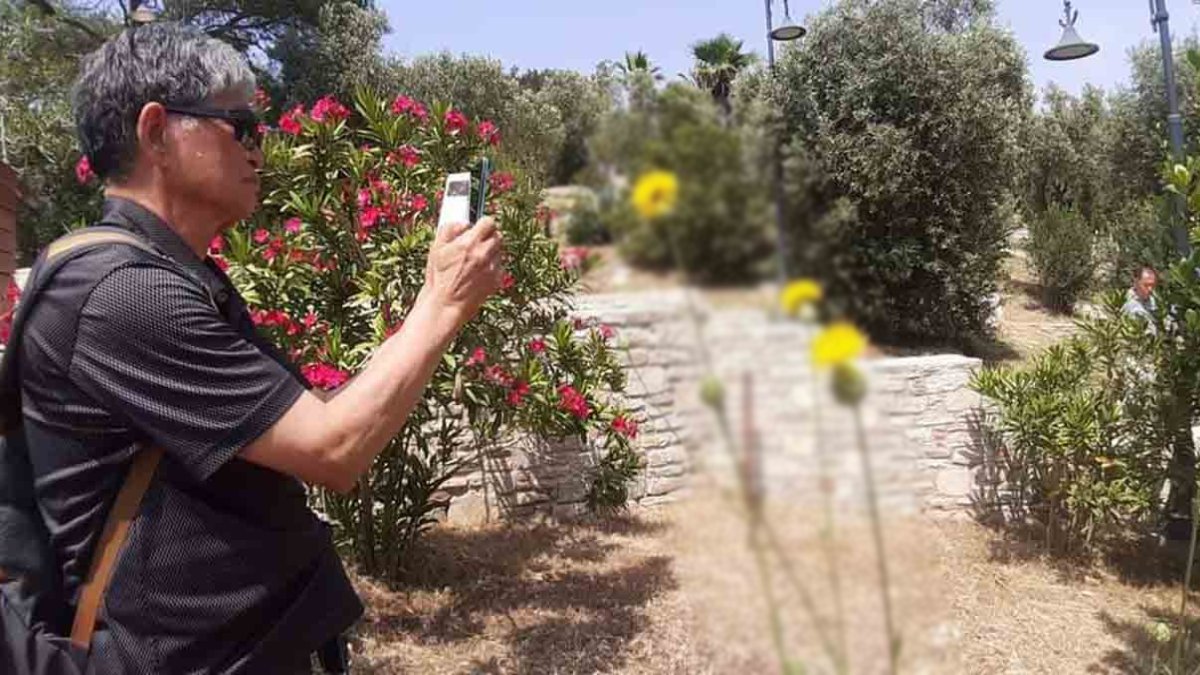 Karşınıza çıkarsa sakın dokunmayın! Kuşadası’nın sembolünü koparana yüzbinlerce TL ceza