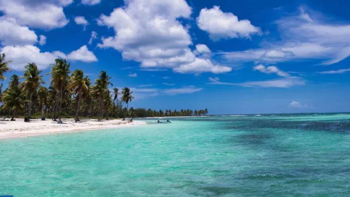 Kalabalıktan kaçıp doğada kafa dinlemek isteyenler dikkat! Erdek'te sır gibi saklanan köy, berrak denizi aşık edecek
