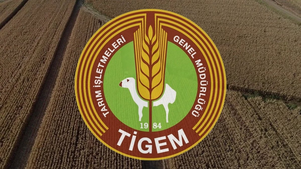 Talep patladı: Litresi 2,5 milyon lira! Her talep edene verilmiyor