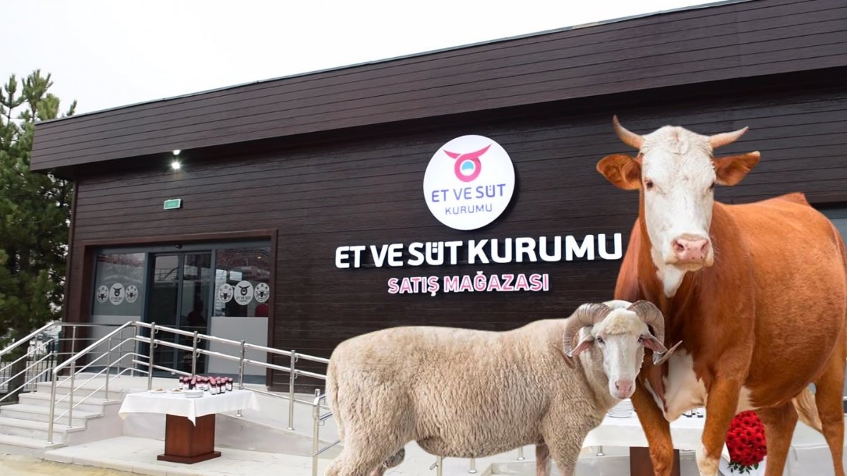 Satılamayan kurbanlıklar için devlet devreye girdi, elde kalanları aldı! İşte tek tek fiyatlar