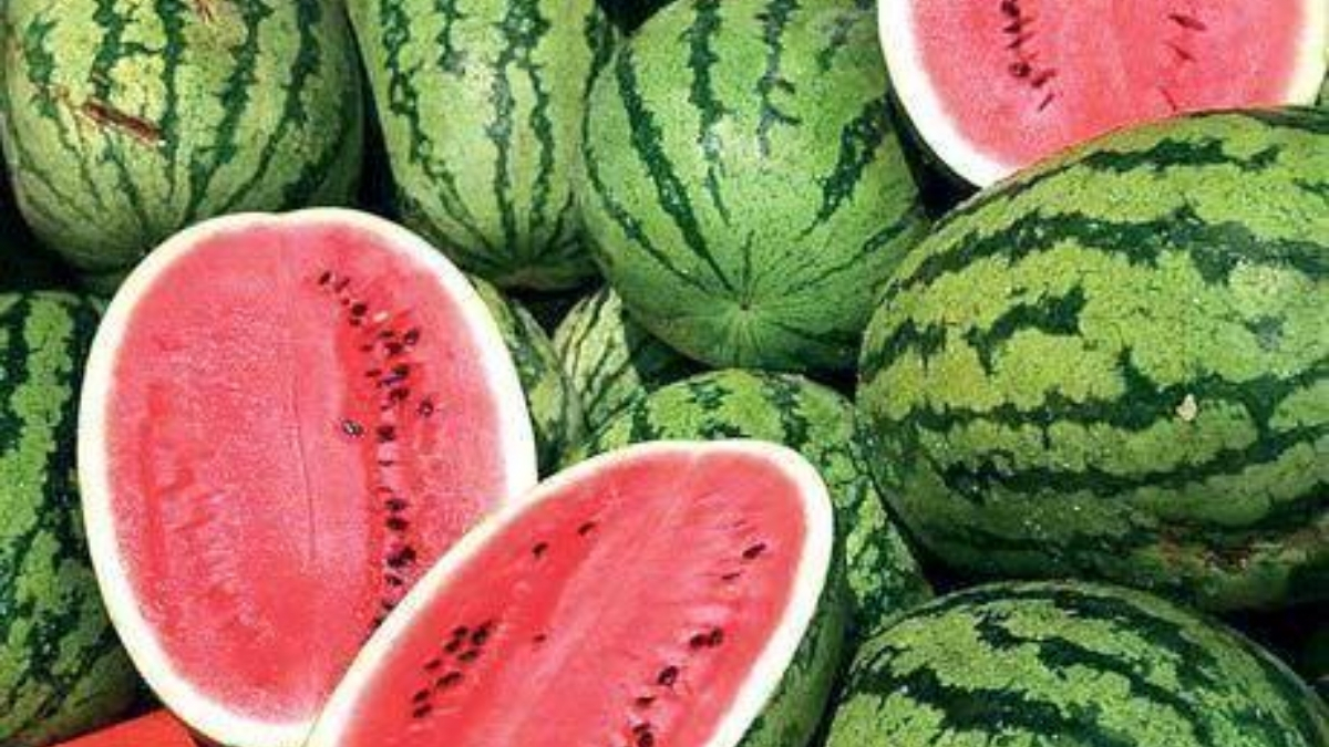 Her yaz kilo kilo yiyoruz, tadından vazgeçemiyoruz! Sağlıklı sanırken bilinmeyen yanları ortaya çıktı