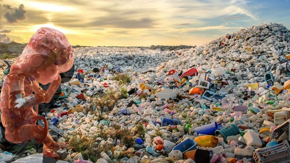 Masum gibi görünüyor, yavaş yavaş zehirliyor! Tehlike anne karnında başlıyor: Uzmanından plastik uyarısı