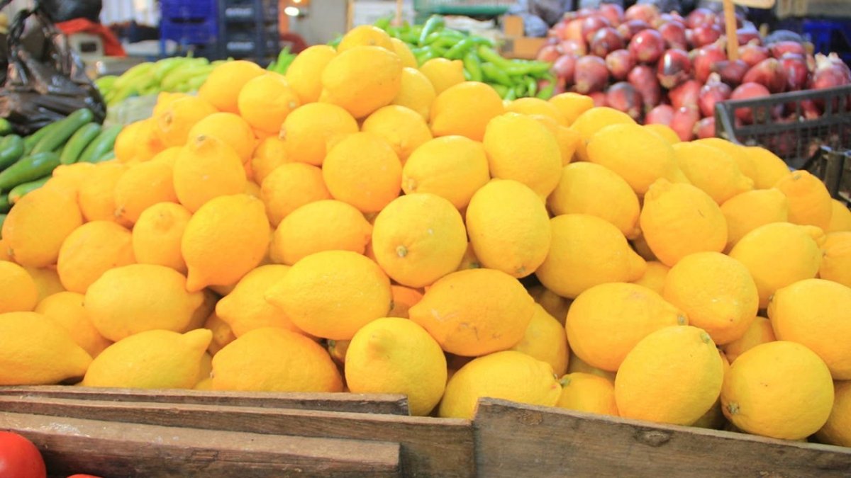 Zirai don fiyatları uçurdu: Limonun tanesi 27 lira