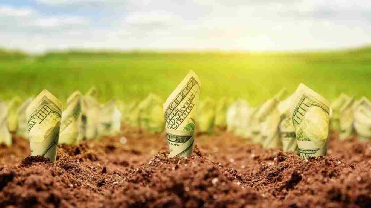 Yatırımcılar bayram etti! Buralarda fiyatlar uçuşa geçti: Altından daha karlı çıktı!