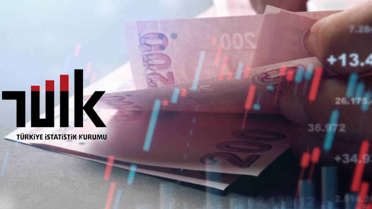 Paranıza en iyi getiriyi hangi yatırım aracı sağladı? TÜİK Mayıs 2025 verilerini açıkladı: Kazancın şampiyonu belli oldu