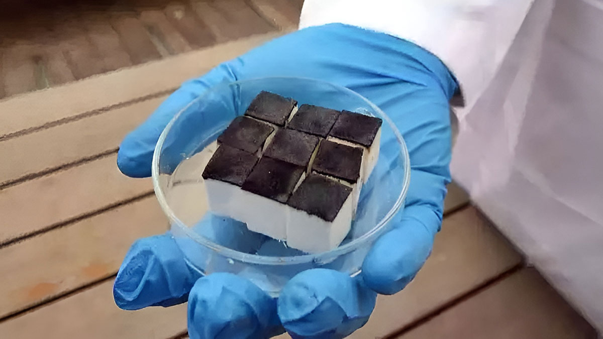 Bilim insanları nemi içme suyuna çevirdi: Yaşasın bilim! Balsa ağacından akıllı sünger ürettiler