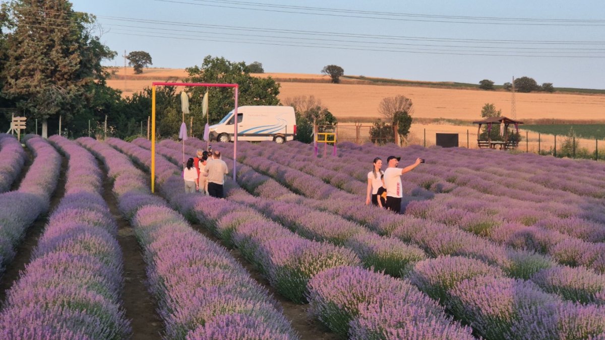 Turistler buraya akın ediyor! 3 dönümlük lavanta adeta görsel şölen oluşturuyor