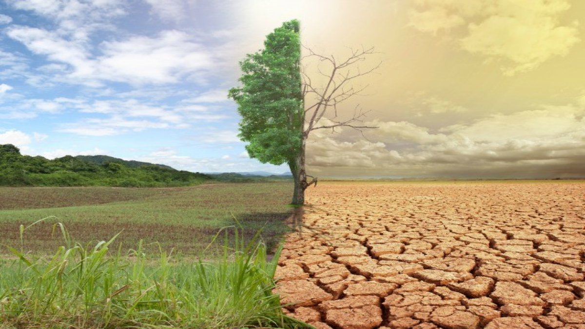 Mayıs ayında şaşırtan gelişme: Uzmanlar iklim için alarm veriyor