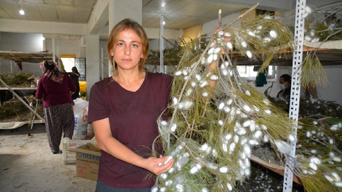 Altın değil ama aynı değerde! Anne kız başladı, servet kazandı: 45 günde hasat edip, kilosunu 3 Bin TL’den satıyorlar