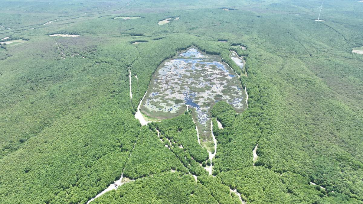 Doğaseverlerin yeni uğrak noktası: Esenyurt Belediyesi Danamandıra Tabiat Parkı!