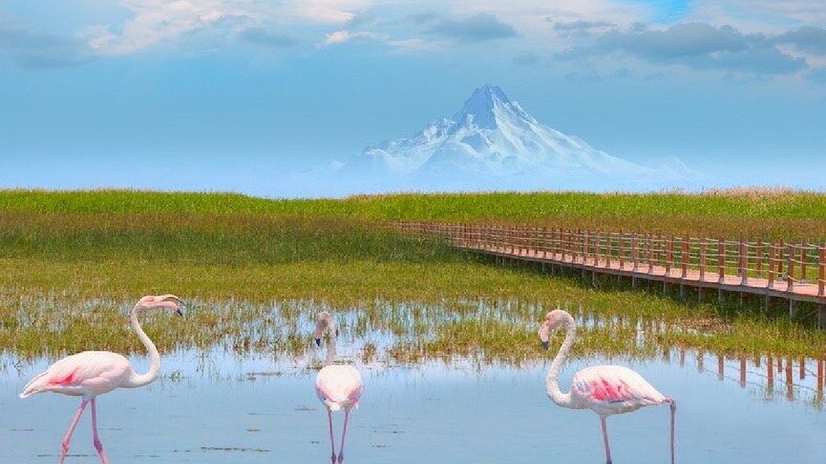 Türkiye’nin en sulak alanları arasında yer alıyor! Sandal turu, kuş gözlemi… Turistler uğrak noktası oldu