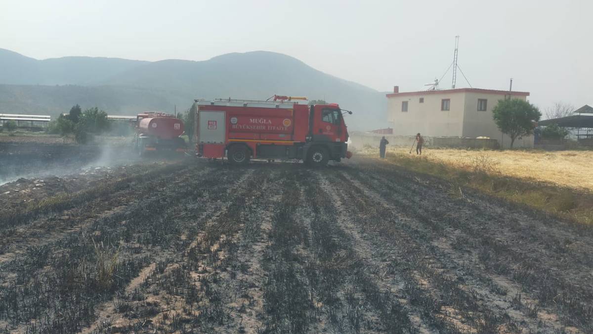 Büyükşehir ekipleri 6 ayda 380 anız yangınına müdahale etti