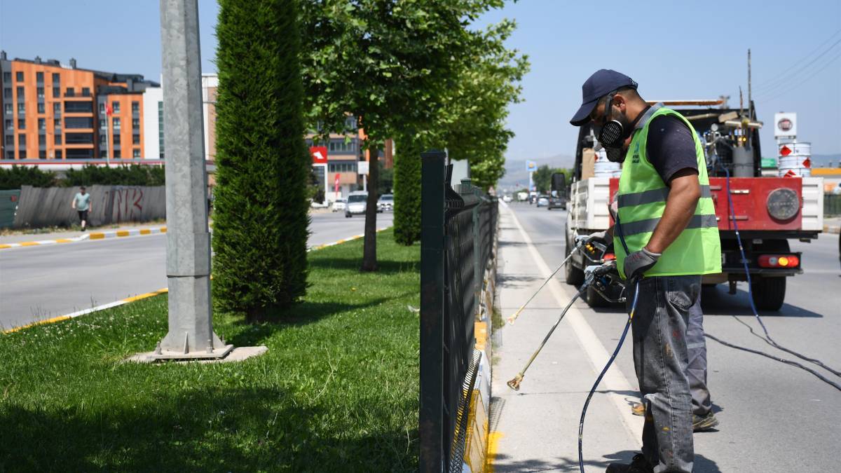 Büyükşehir’den refüjlere estetik dokunuş