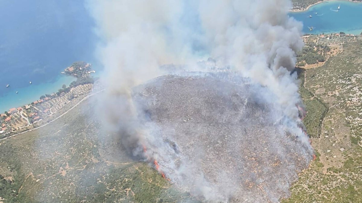 Karaburun'da orman yangını: Havadan ve karadan müdahale sürüyor